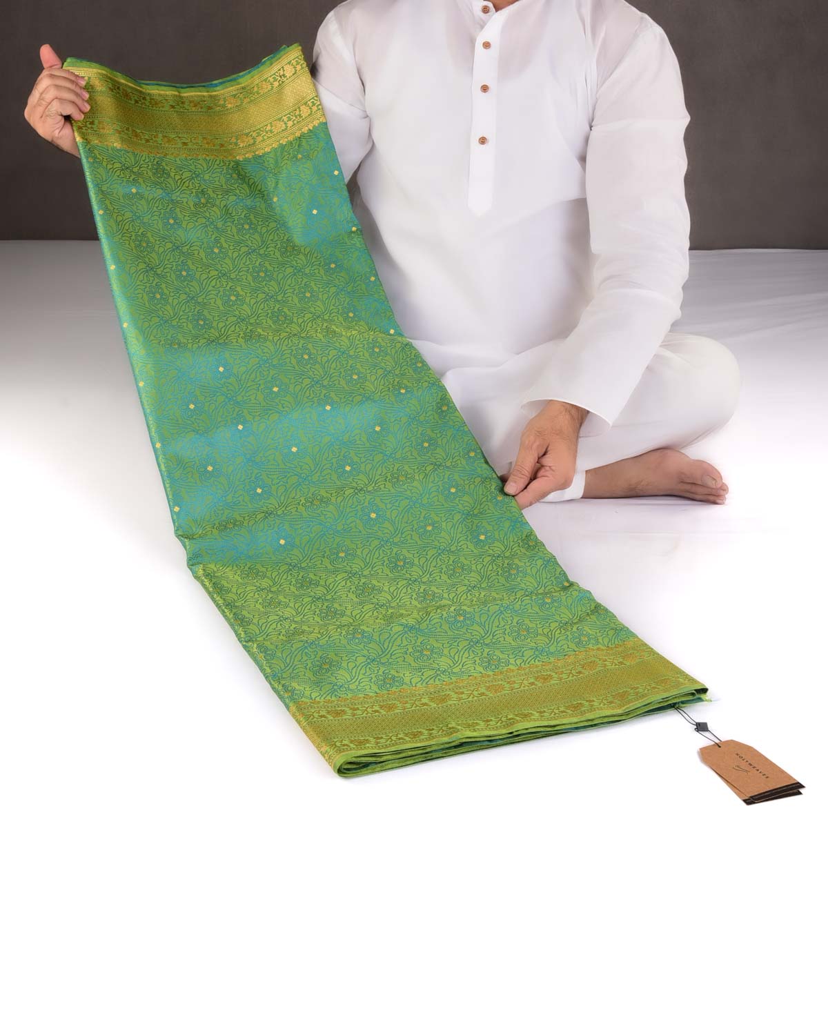 Shot Green Dotted Jaal Satin Tanchoi Brocade Handwoven Katan Silk Banarasi Saree with Gold Zari Accents-HolyWeaves