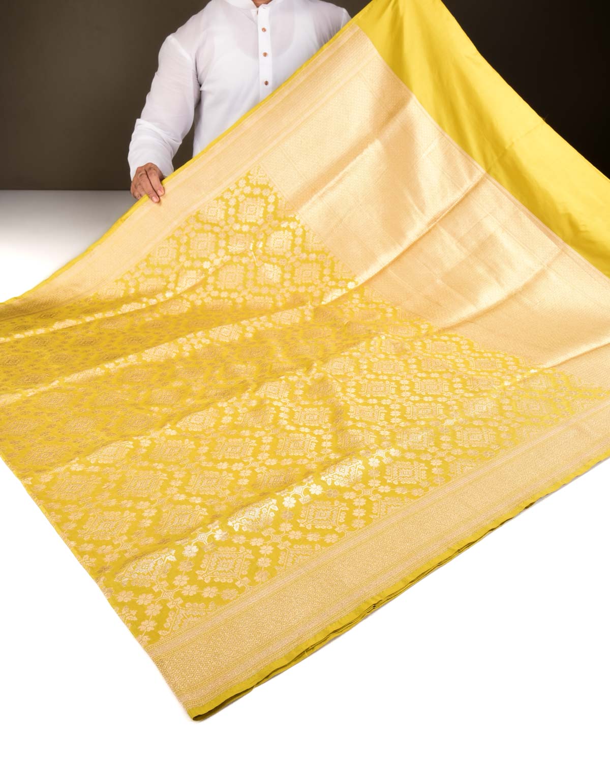 Lime Green Banarasi Gold Zari Jaal Cutwork Brocade Handwoven Katan Silk Saree-HolyWeaves