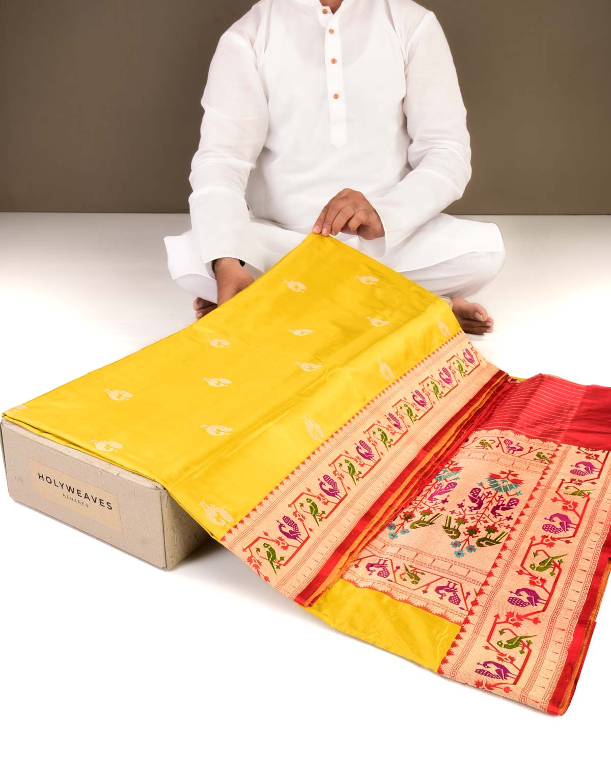 Yellow Banarasi Peacock & Parrot Paithani Anchal Border Kadhuan Brocade Handwoven Katan Silk Saree-HolyWeaves