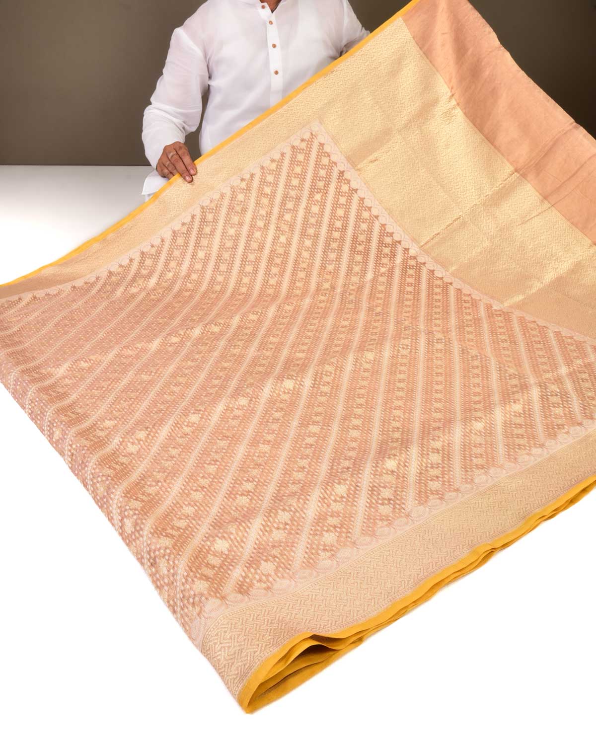 Metallic Beige Banarasi Diagonal Aada Ghani Buti Rasham Zari Alfi Cutwork Brocade Handwoven Kora Tissue Saree-HolyWeaves