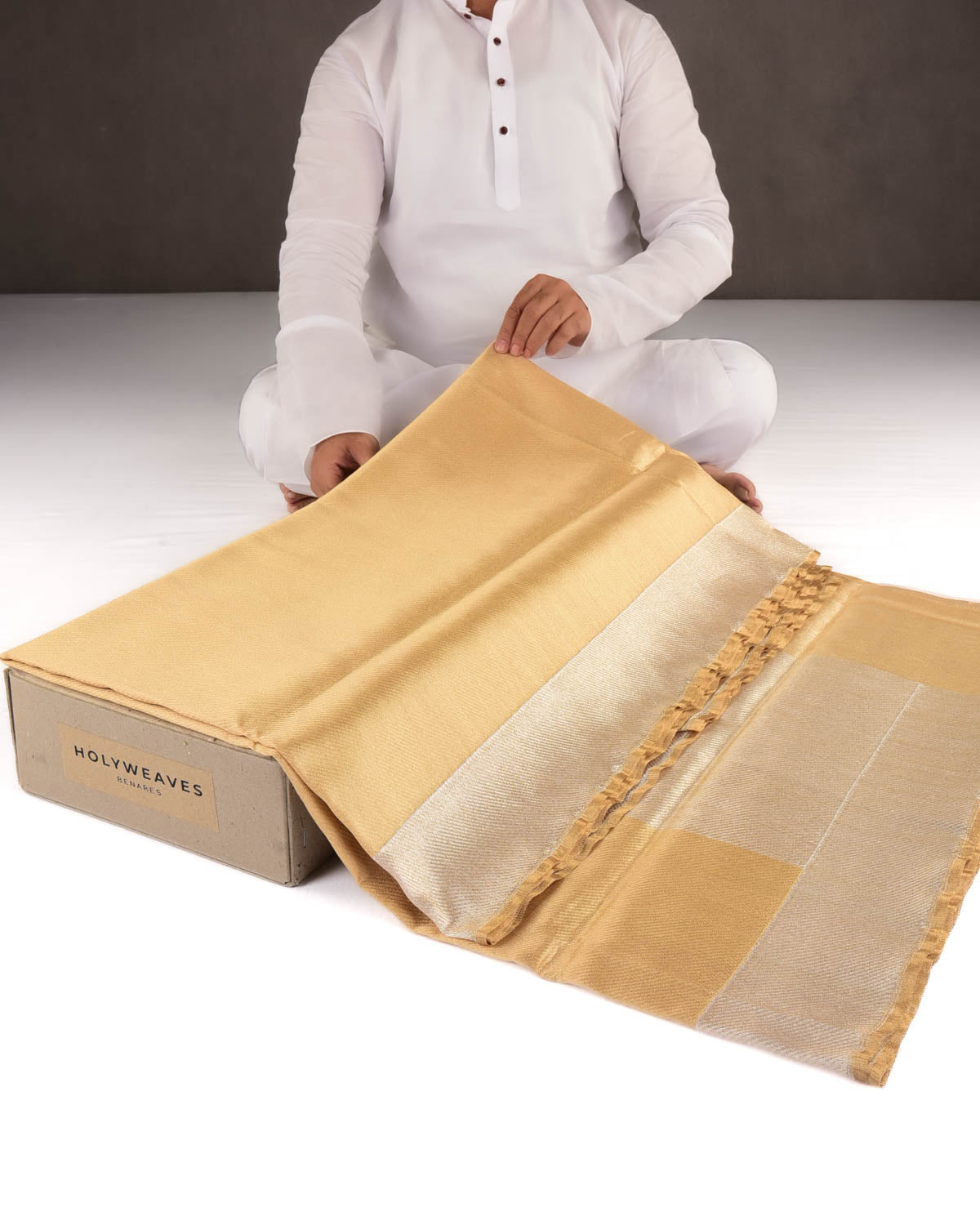 Metallic Gold Brocade Handwoven Tissue Banarasi Saree with Silver Zari Border Pallu-HolyWeaves