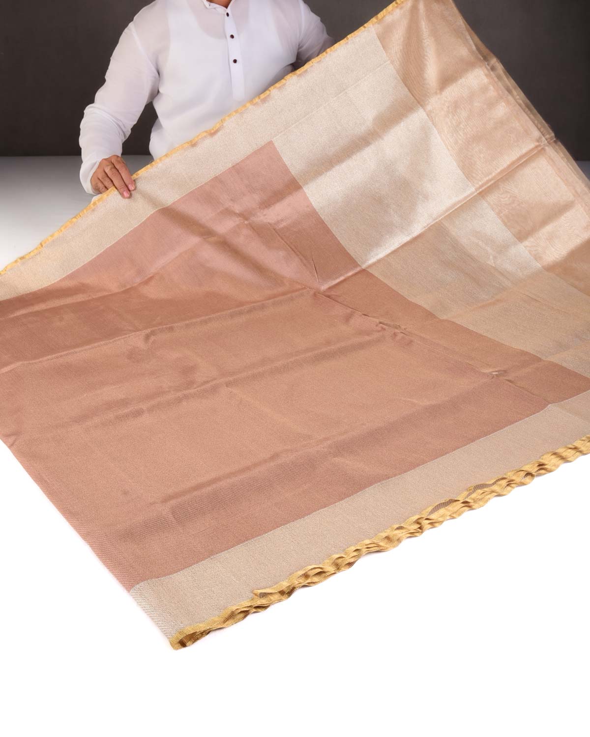 Metallic Rosy Brown Drill Brocade Handwoven Tissue Banarasi Saree with Silver Zari Border Pallu-HolyWeaves