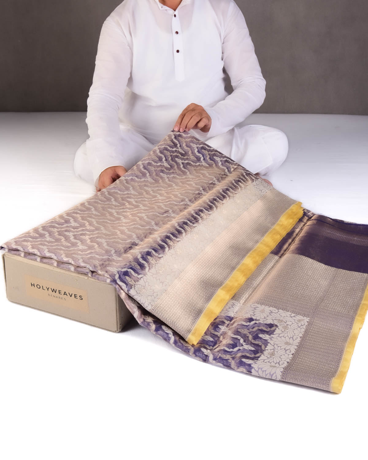 Metallic Indigo Gold Zari And White Cotton Alfi Bandanwar Cutwork Brocade Handwoven Kora Tissue Banarasi Saree-HolyWeaves