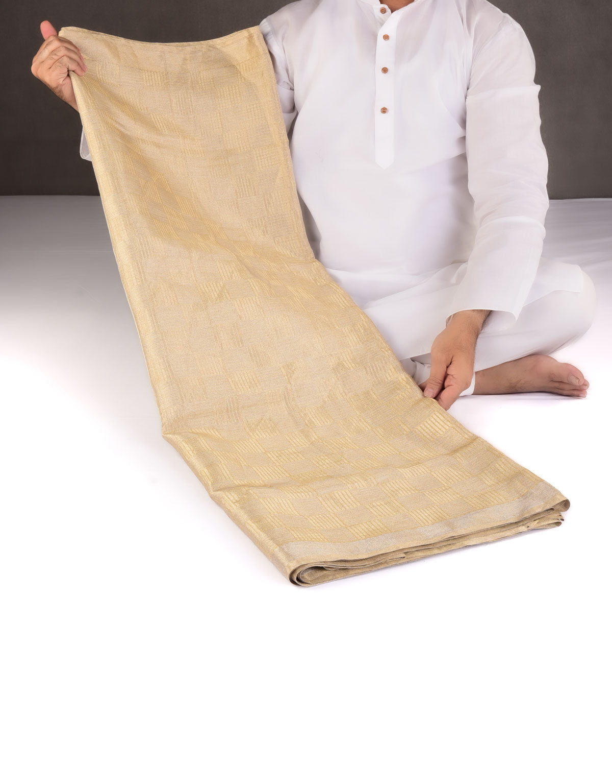 Metallic Silver On Gold Chequered Grids Brocade Handwoven Tissue Banarasi Saree-HolyWeaves