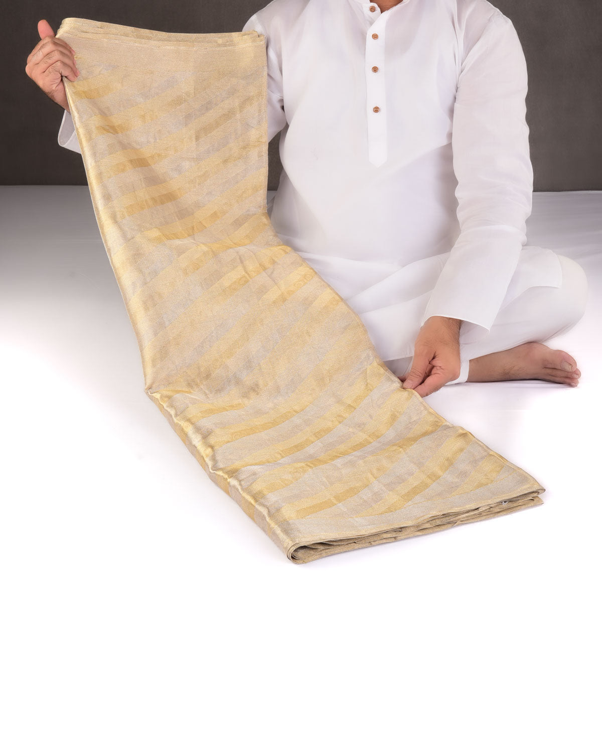 Metallic Silver Gold Diagonal Stripes Brocade Handwoven Tissue Saree-HolyWeaves