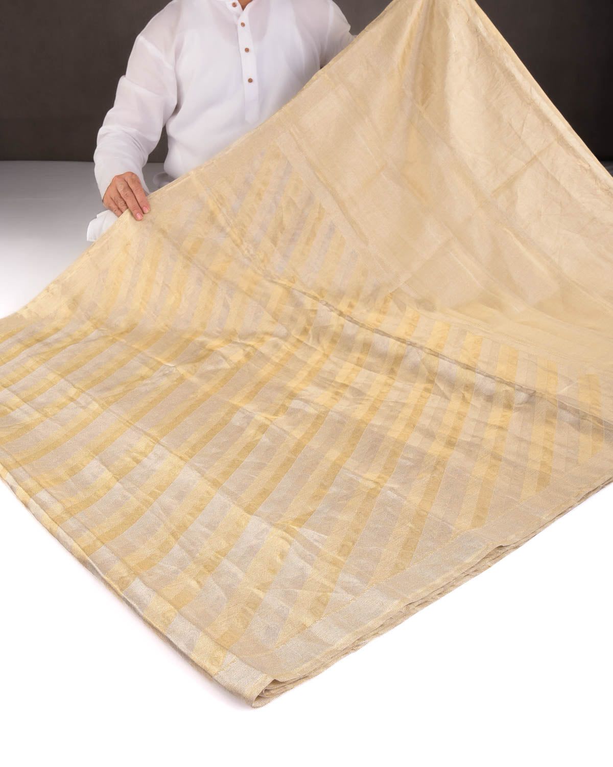 Metallic Silver Gold Diagonal Stripes Brocade Handwoven Tissue Saree-HolyWeaves